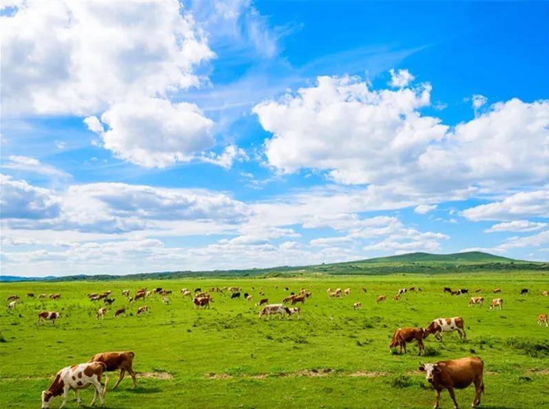 北疆明珠，内蒙古民族团结典范之地