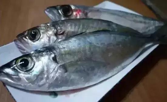 海南热带宝岛的地理、历史与文化探索